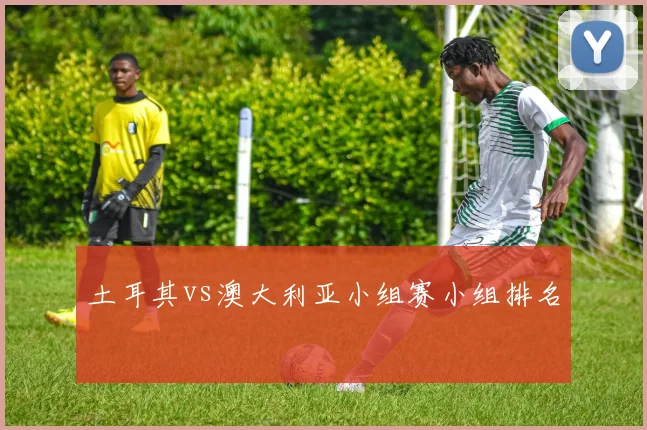 土耳其vs澳大利亚小组赛小组排名