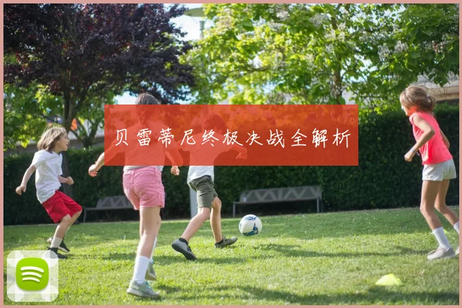 贝雷蒂尼终极决战全解析