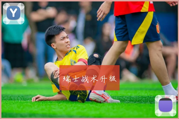 瑞士战术升级