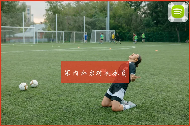 塞内加尔对决冰岛