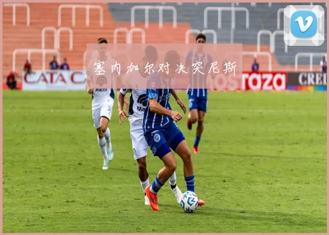 塞内加尔对决突尼斯