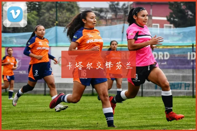 卡塔尔交锋芬兰
