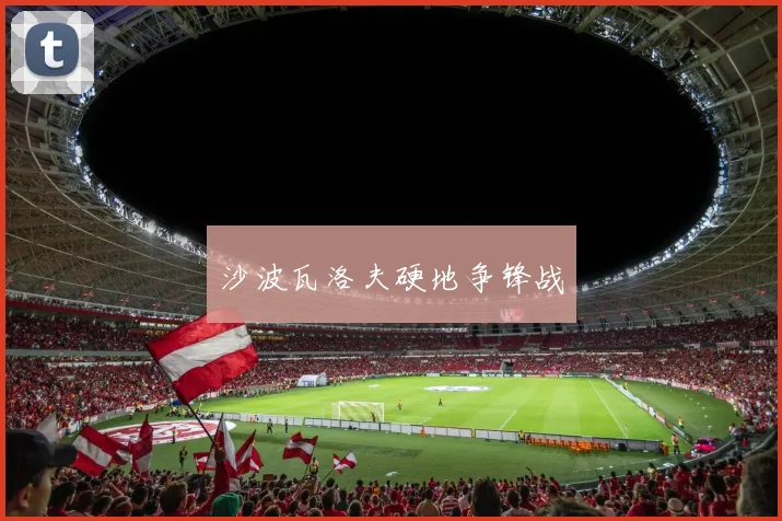 沙波瓦洛夫硬地争锋战