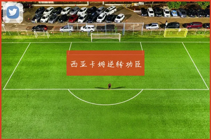 西亚卡姆逆转功臣