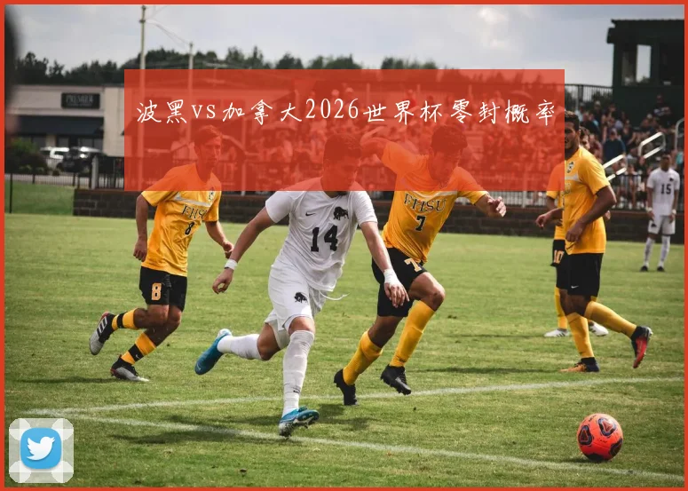 波黑vs加拿大2026世界杯零封概率