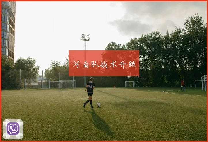 河南队战术升级