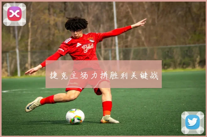 捷克主场力拼胜利关键战