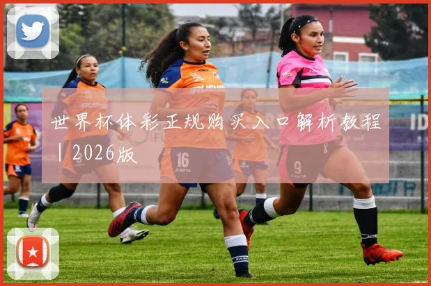 世界杯体彩正规购买入口解析教程｜2026版