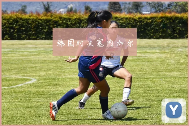 韩国对决塞内加尔