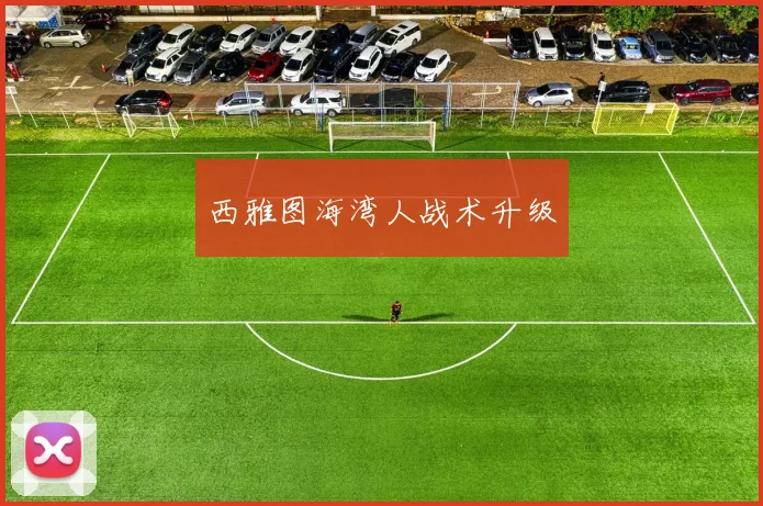西雅图海湾人战术升级