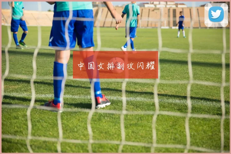 中国女排副攻闪耀
