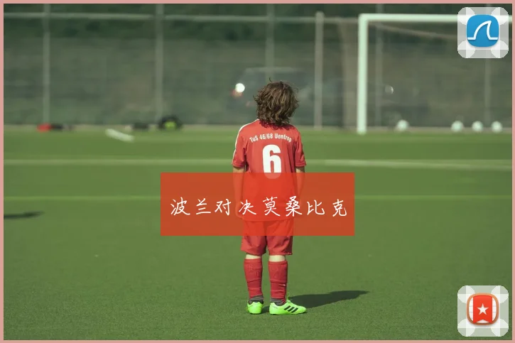 波兰对决莫桑比克