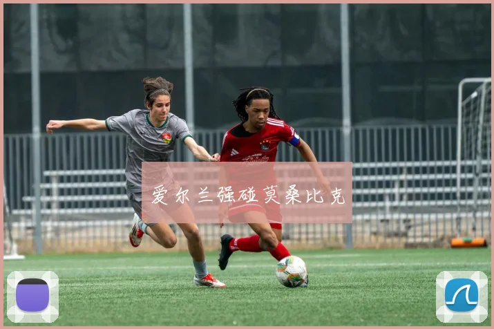 爱尔兰强碰莫桑比克