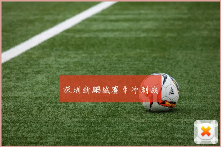 深圳新鹏城赛季冲刺战