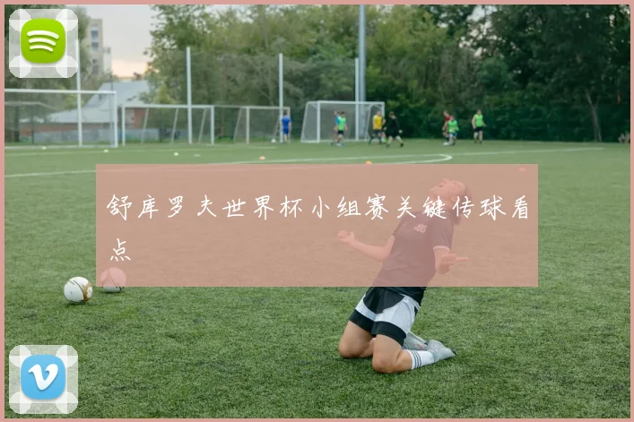 舒库罗夫世界杯小组赛关键传球看点
