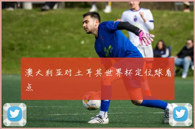 澳大利亚对土耳其世界杯定位球看点