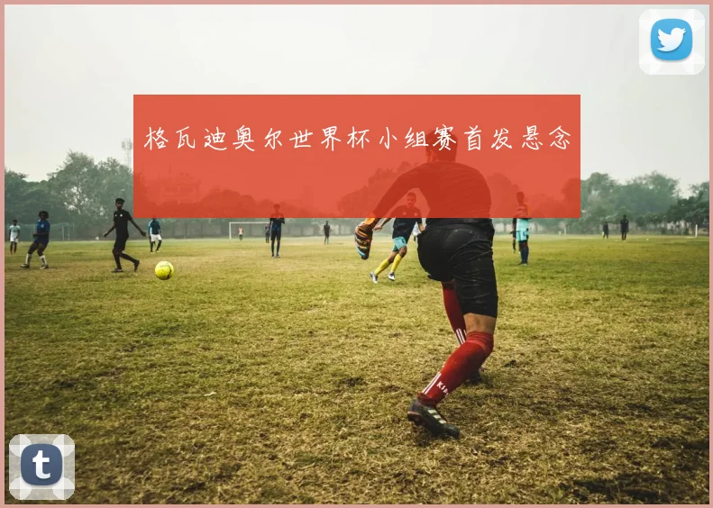 格瓦迪奥尔世界杯小组赛首发悬念