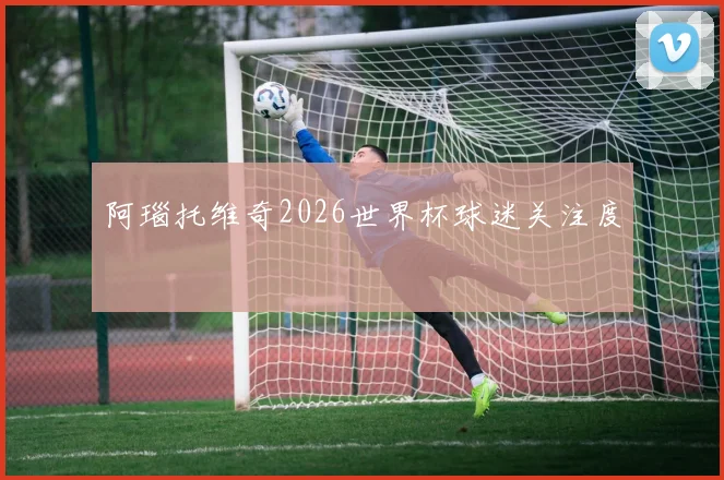 阿瑙托维奇2026世界杯球迷关注度