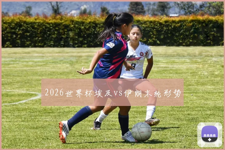2026世界杯埃及vs伊朗末轮形势